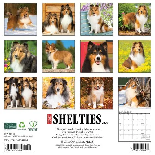 2025 Shelties Wall Calendar