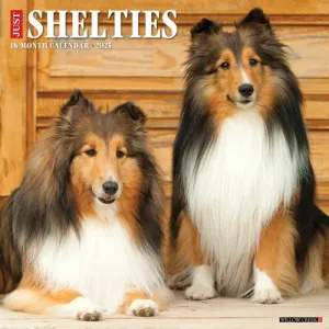 2025 Shelties Wall Calendar