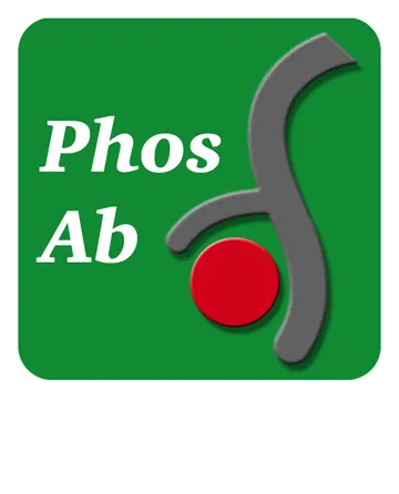 Bad (Ser-112), phospho-specific Antibody