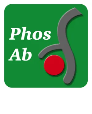 Bad (Ser-112), phospho-specific Antibody