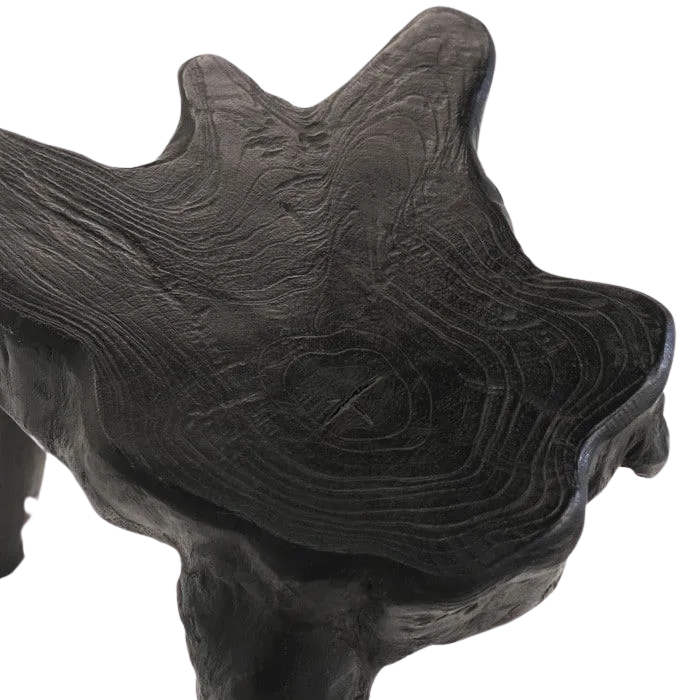 Cumi Teak Root Accent Table