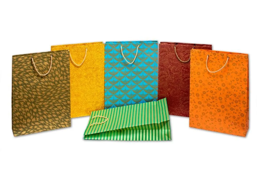 Eco-friendly Handmade Paper Vertical Bags (Mix Colour)