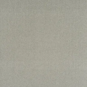Fitch Tufted Carpet, Ash
