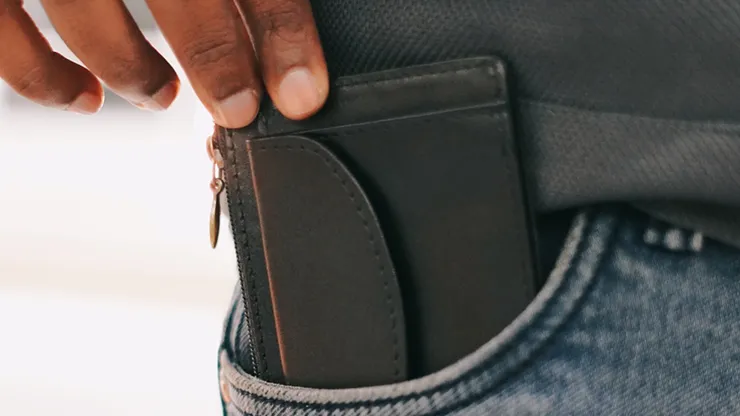 Hide and Seek Wallet (Brown)