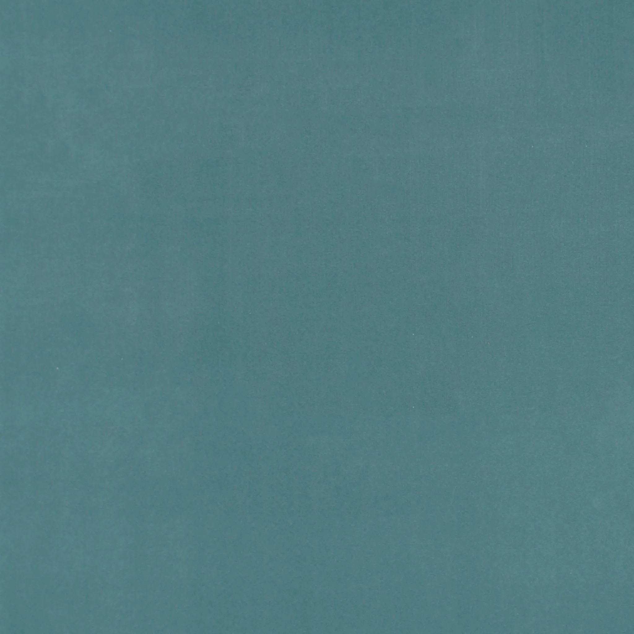 Indy Tufted Carpet, Bella