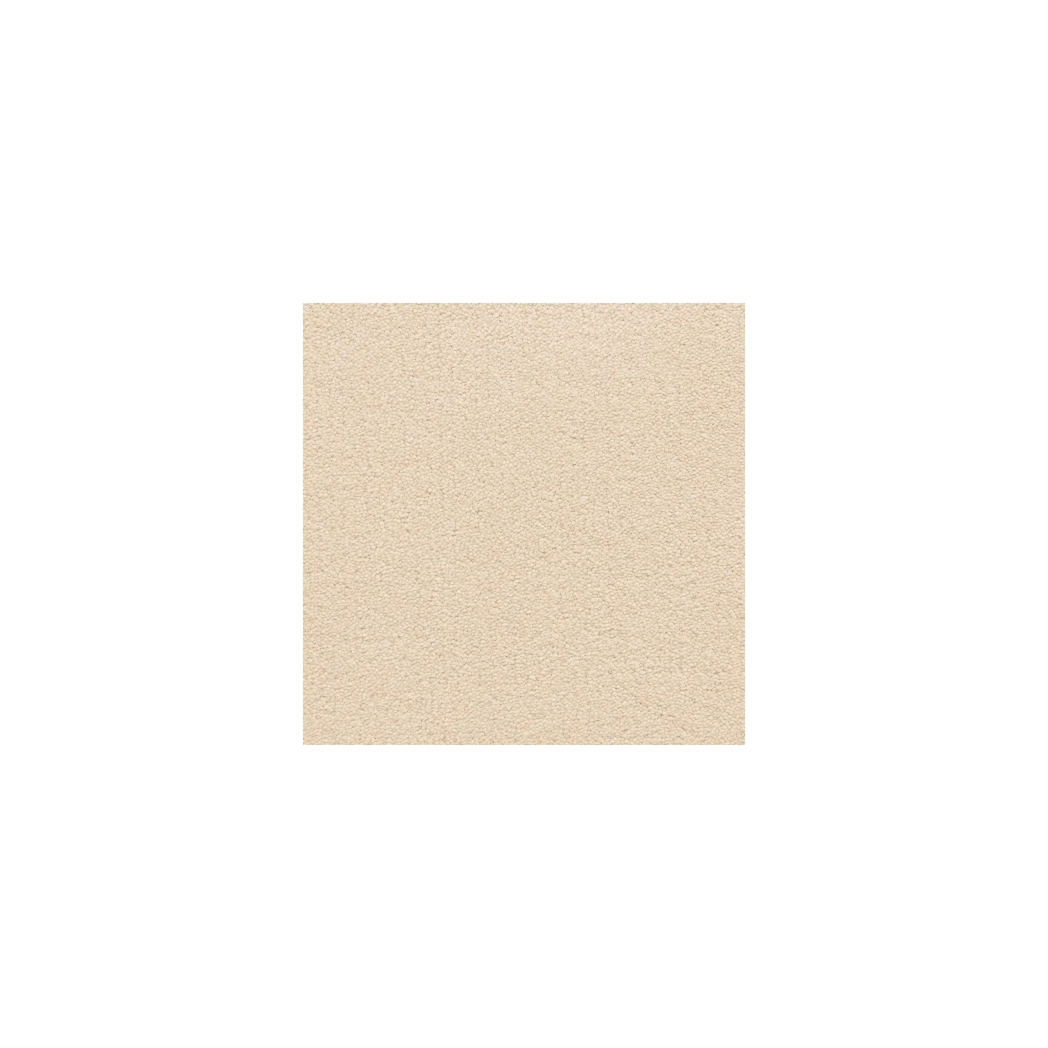 Indy Tufted Carpet, Muslin