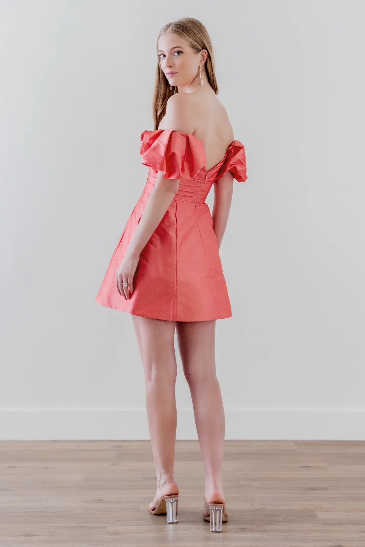 Lei Puff Stylish Sleeve Mini Dress