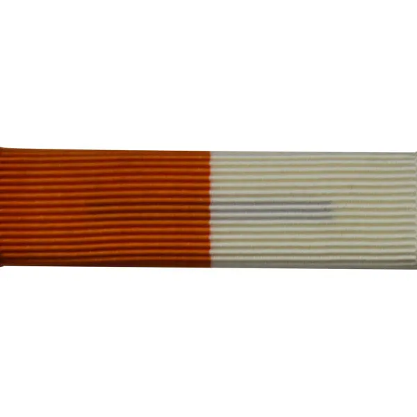 Ribbon Unit #3106