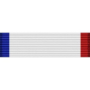 Ribbon Unit #3500