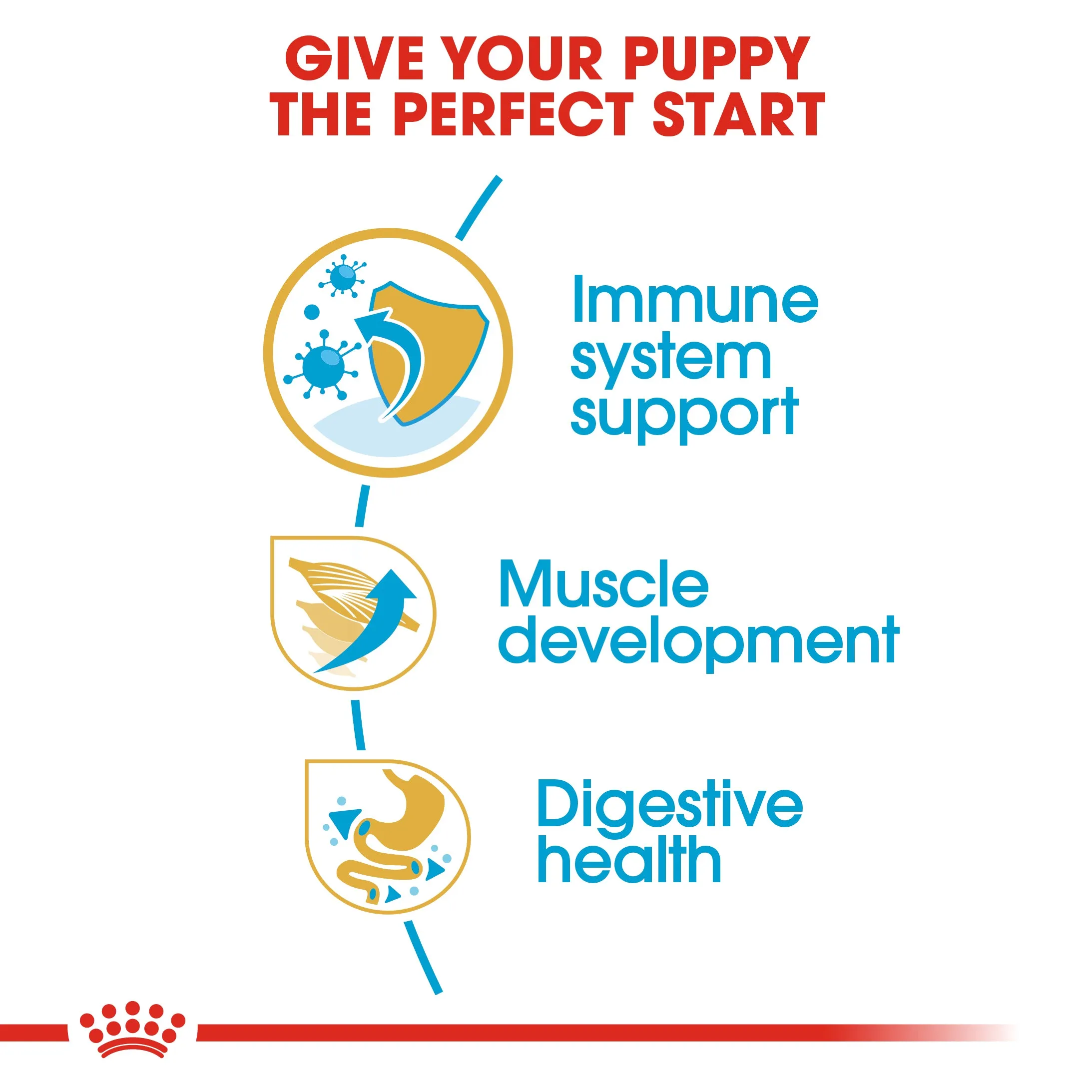 Royal Canin Boxer Puppy/Junior