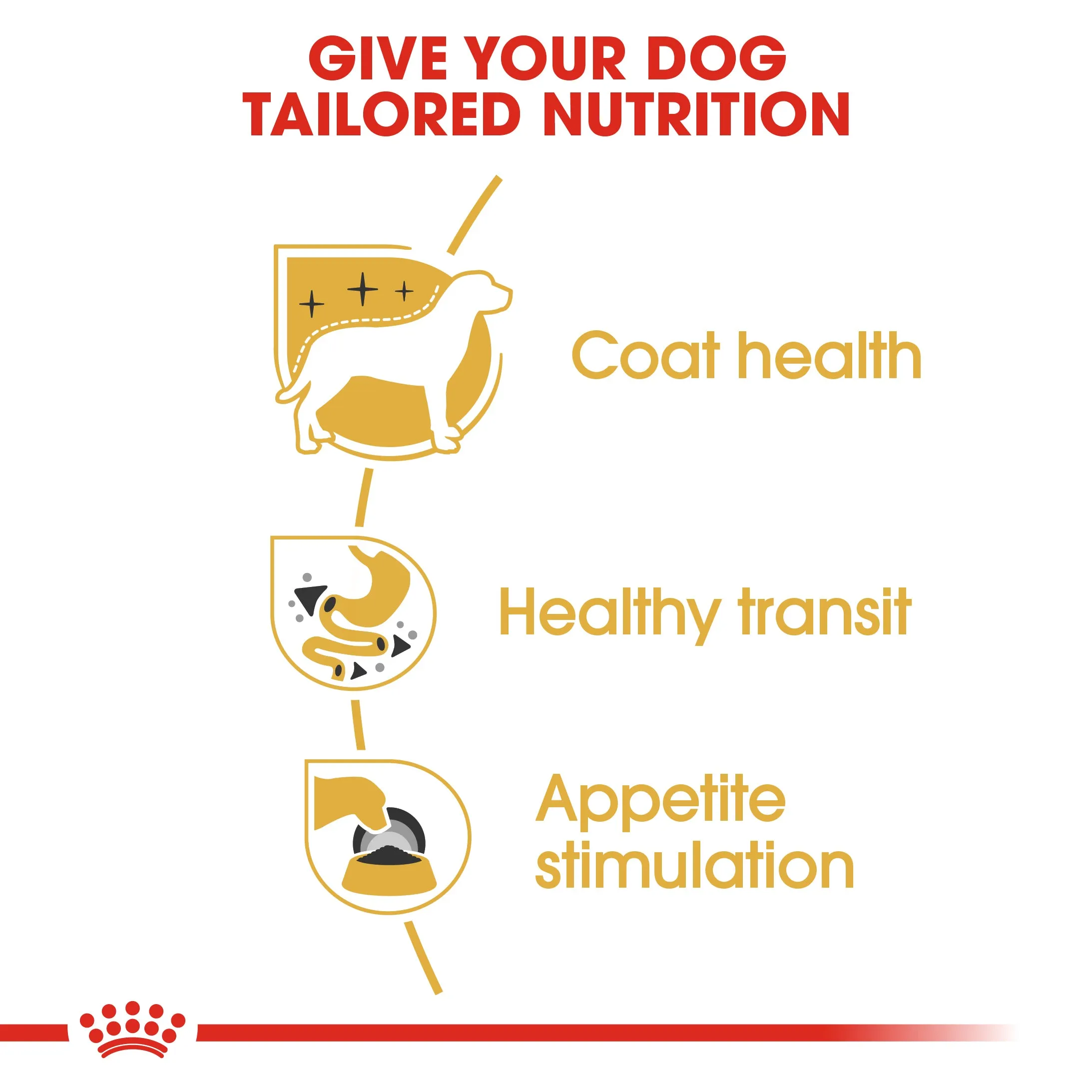 Royal Canin Dog Pouch - Chihuahua