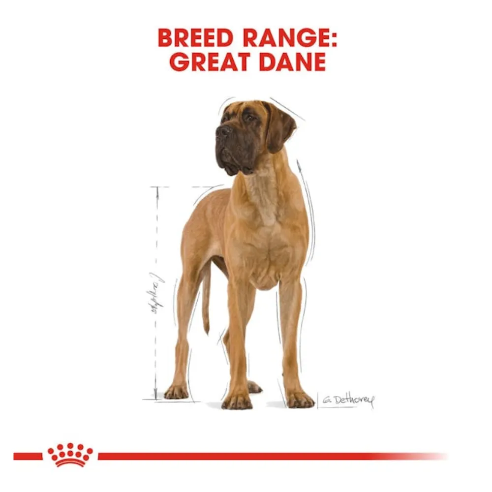 Royal Canin Great Dane