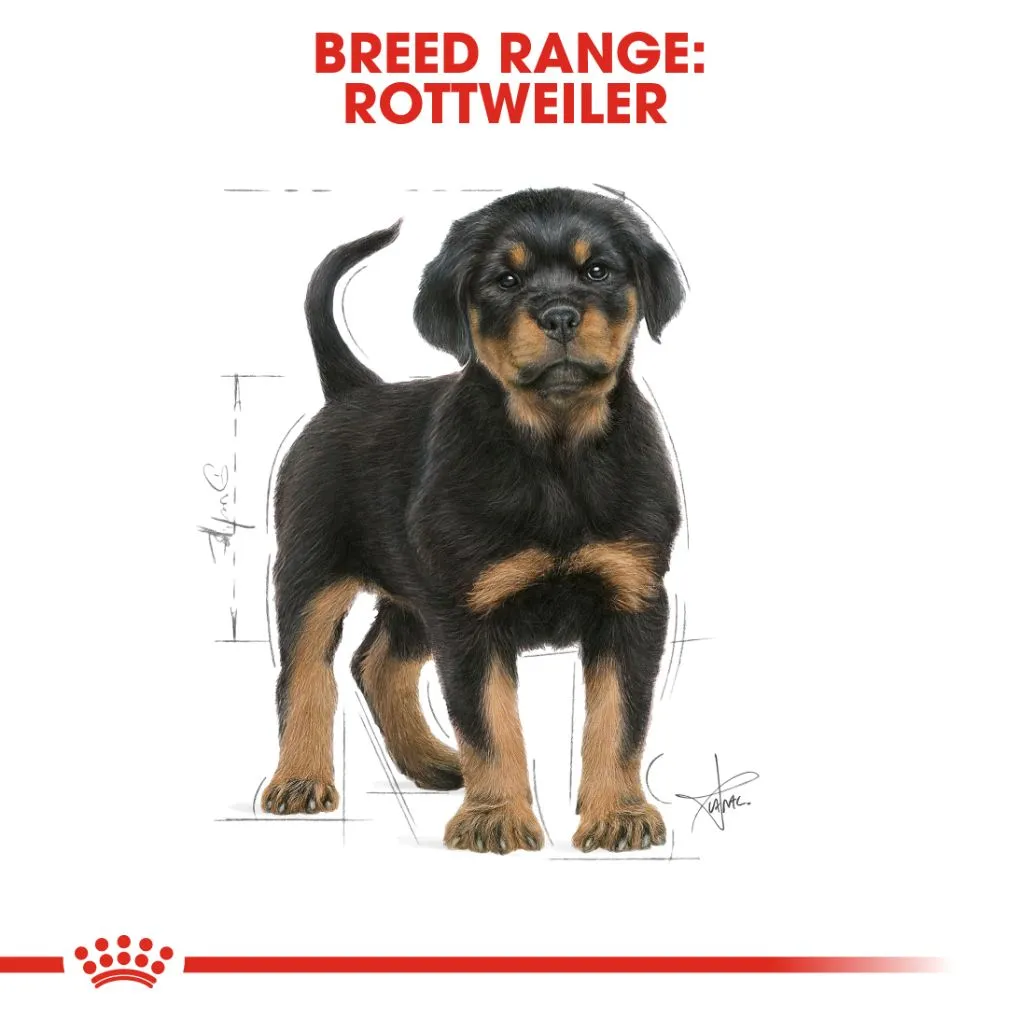 Royal Canin Rottweiler Puppy 12kg