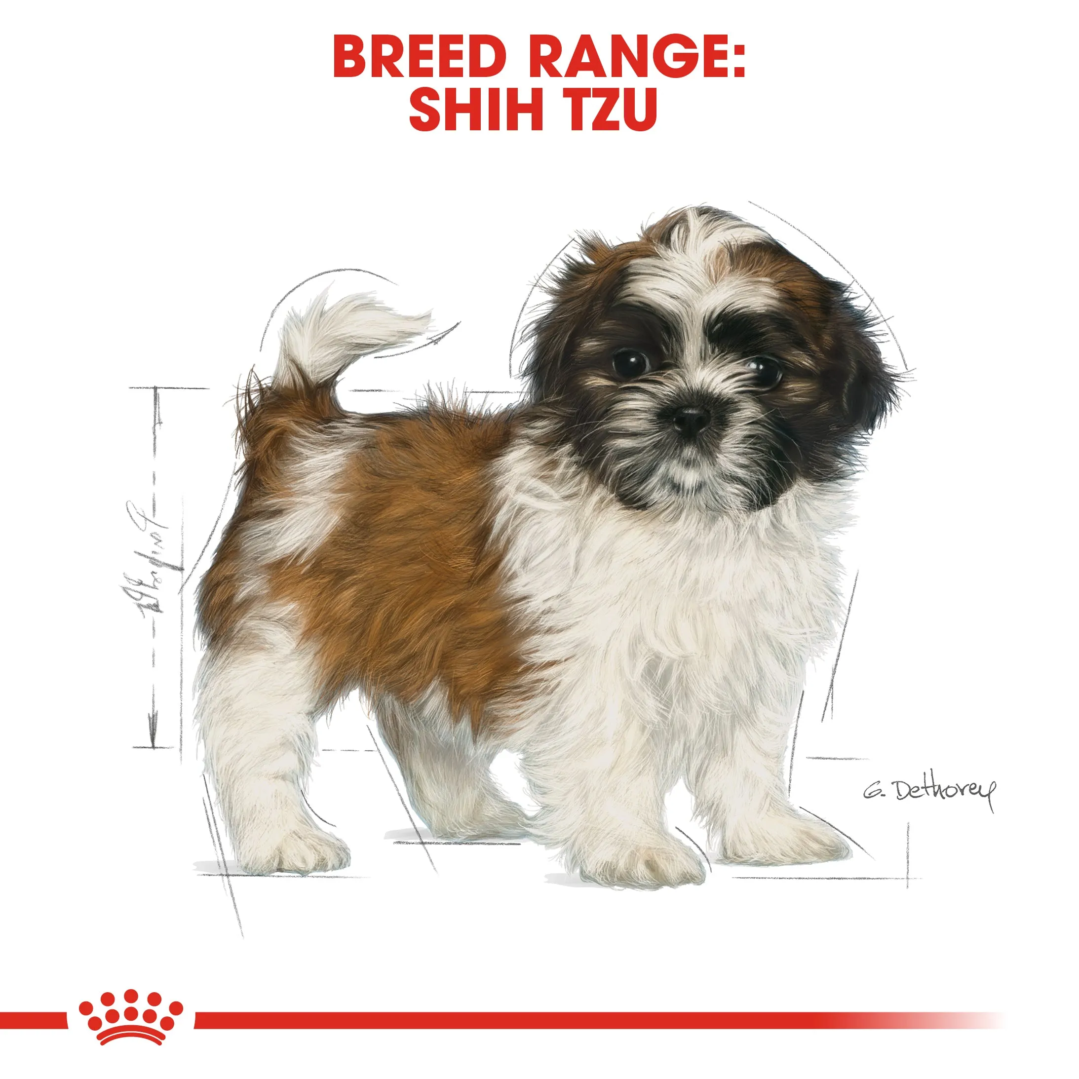 Royal Canin Shih Tzu Puppy/Junior 1.5kg