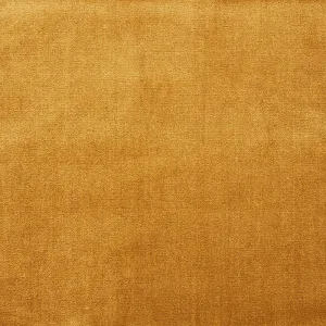 Venetian silk velvet | Gold