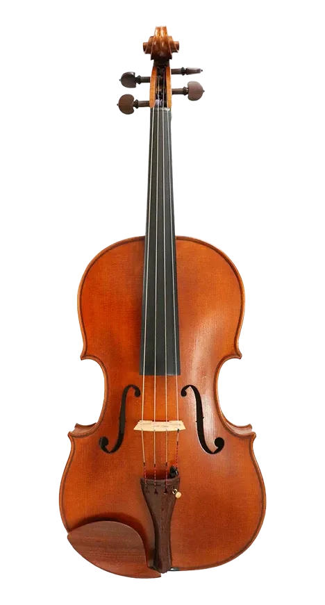 Verdi Viola 15"